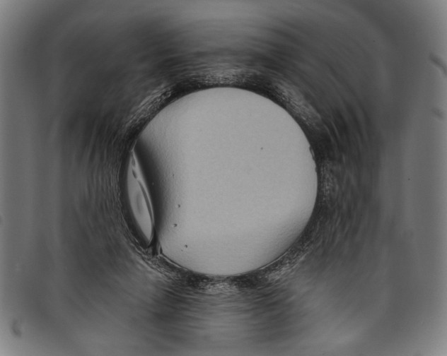 X0000097770258200804041158