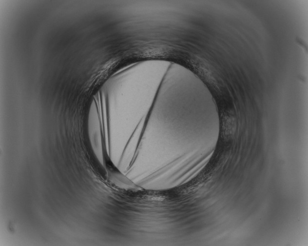 X0000097770260200804041158