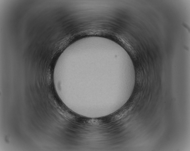 X0000097770261200804041158