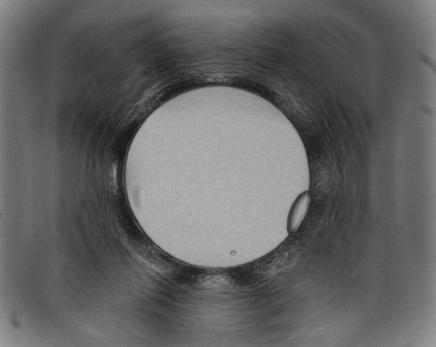 X0000097770262200804041158