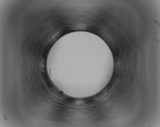 X0000097770264200804041158
