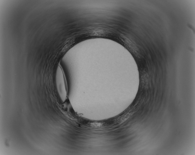 X0000097770265200804041158