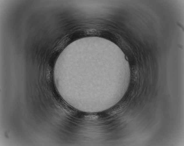 X0000097770266200804041158
