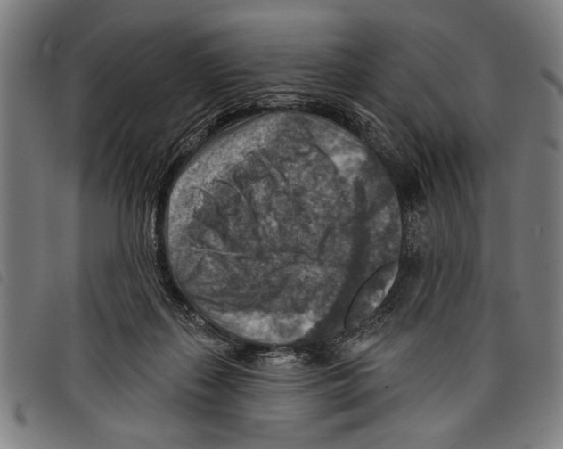 X0000097770267200804041158