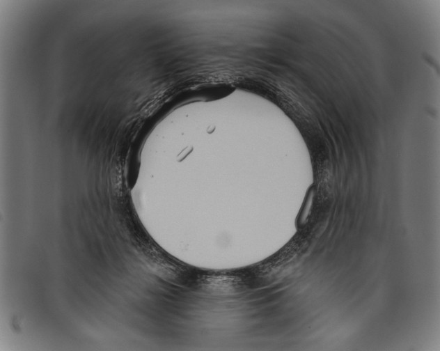 X0000097770268200804041158