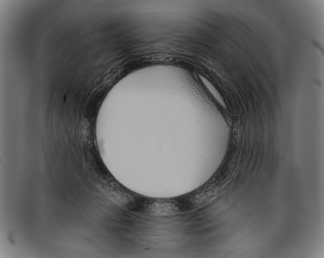 X0000097770270200804041158