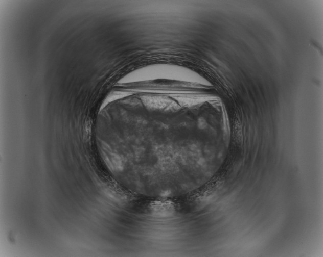 X0000097770271200804041159