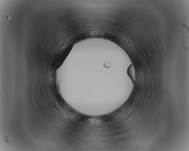 X0000097770272200804041159