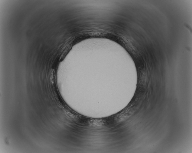 X0000097770273200804041159