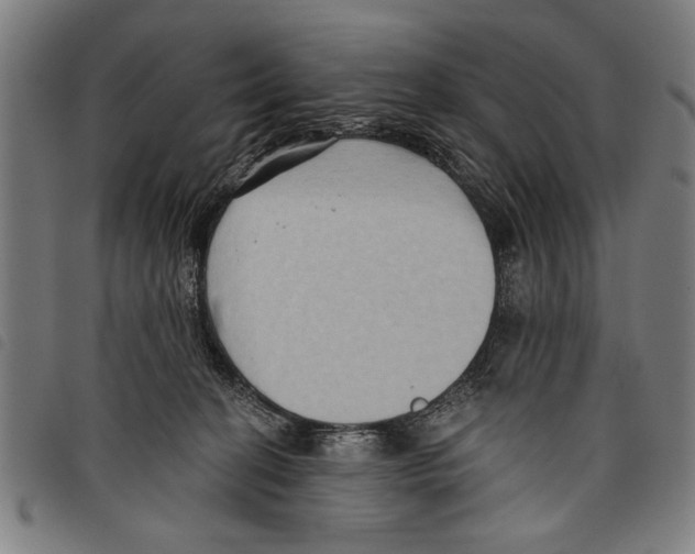 X0000097770274200804041159