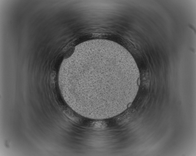 X0000097770275200804041159