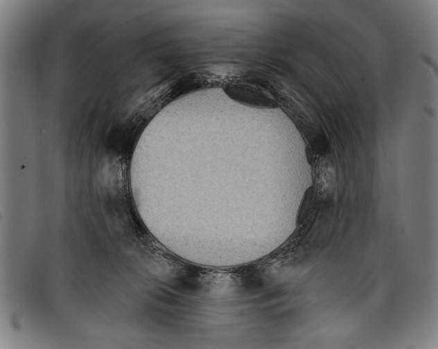 X0000097770276200804041159