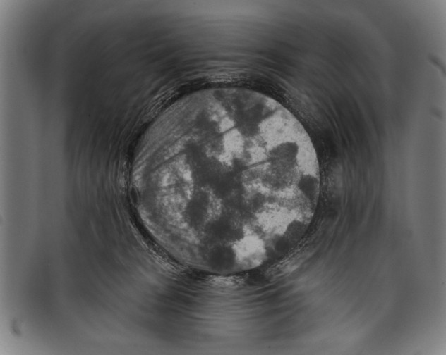 X0000097770277200804041159