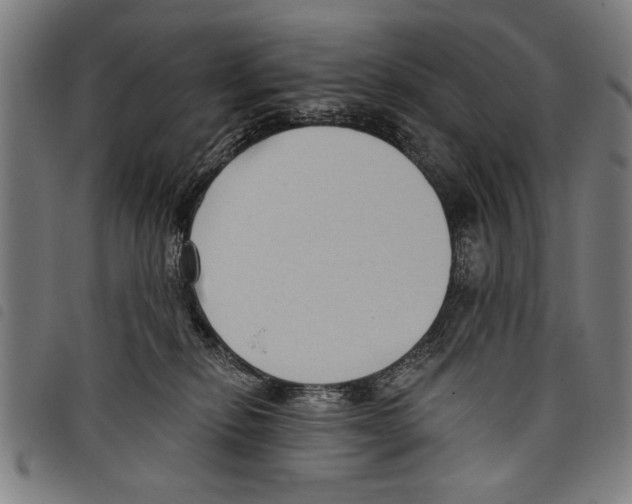X0000097770278200804041159