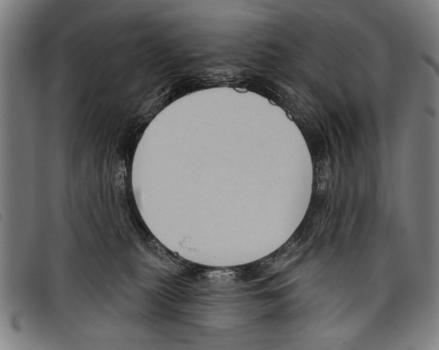 X0000097770279200804041159