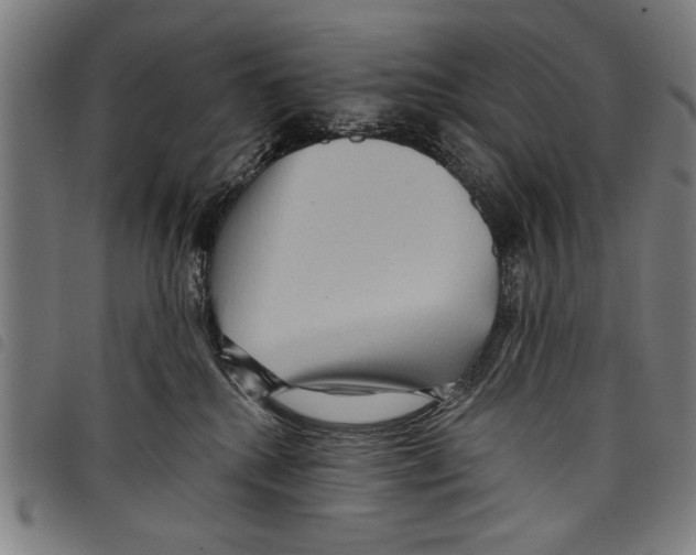 X0000097770280200804041159