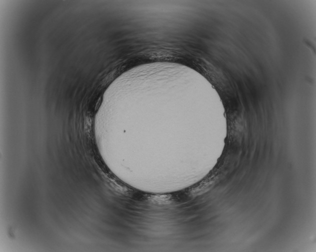 X0000097770281200804041159