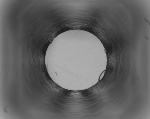 X0000097770283200804041159