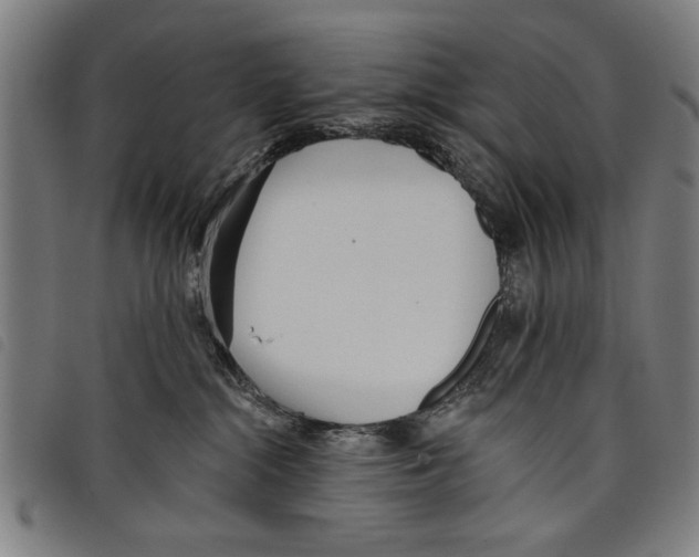 X0000097770284200804041159
