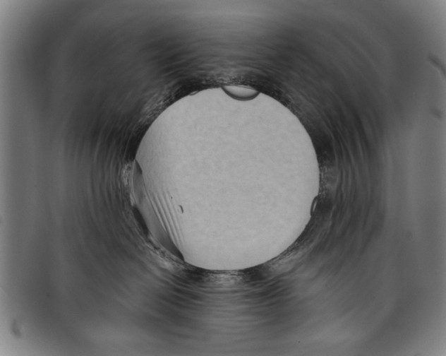 X0000097770286200804041159
