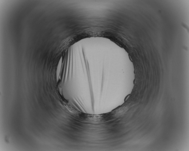 X0000097770288200804041159