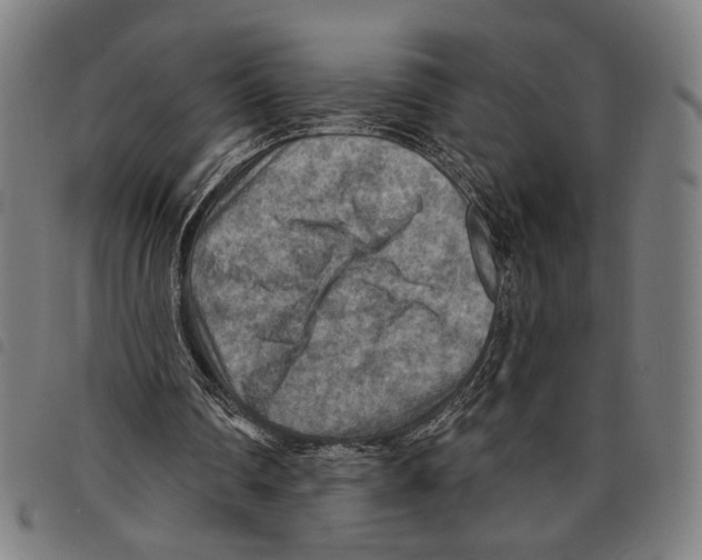 X0000097770290200804041158