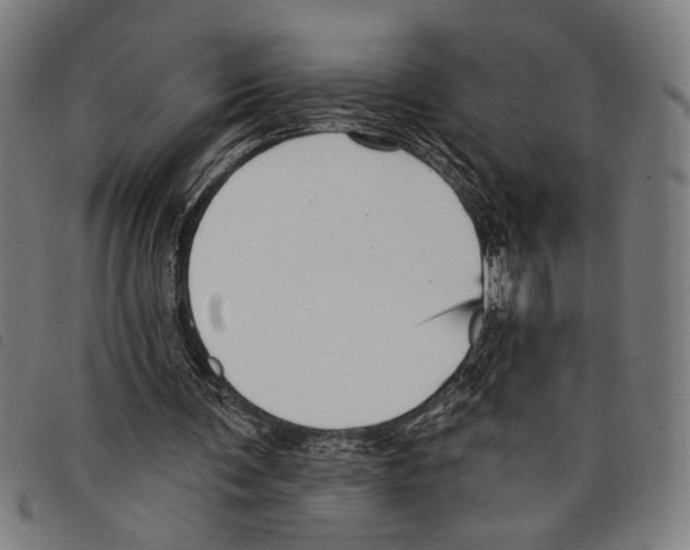 X0000097770291200804041158