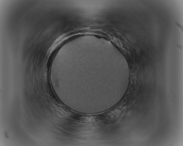 X0000097770295200804041158