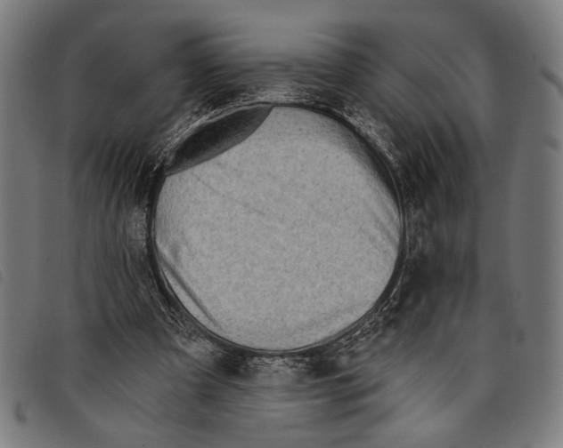X0000097770297200804041158