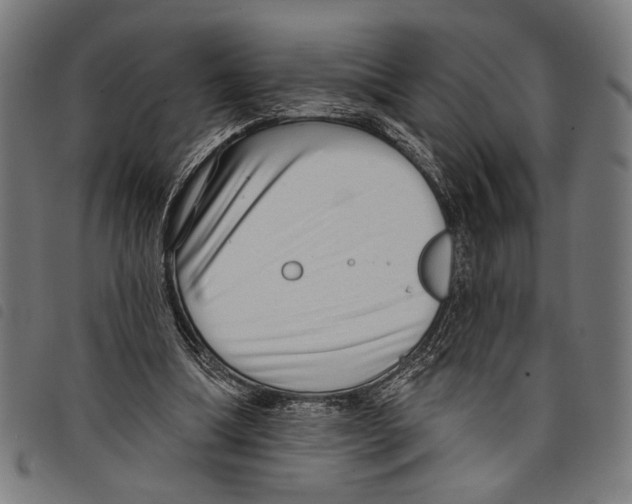 X0000097770298200804041158