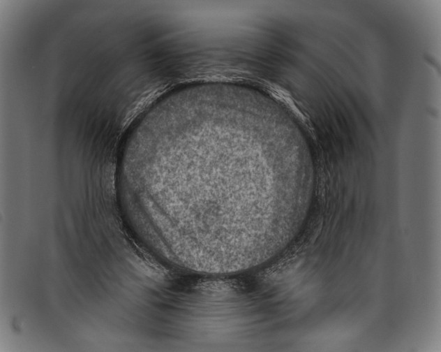 X0000097770299200804041158