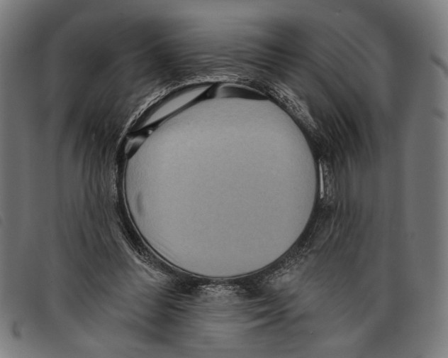 X0000097770300200804041158