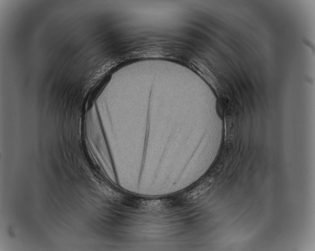 X0000097770301200804041158
