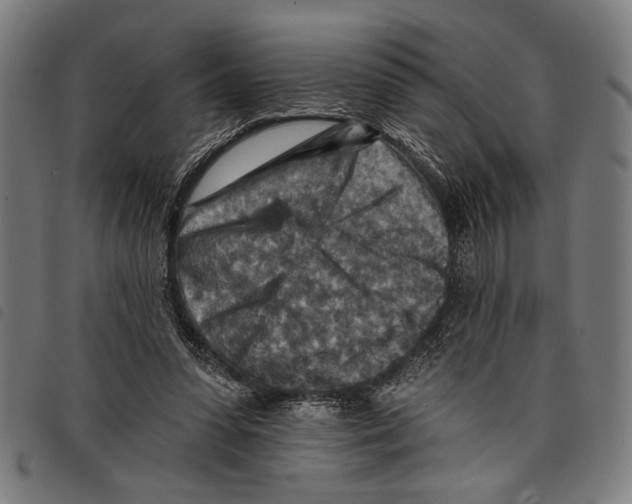 X0000097770303200804041158