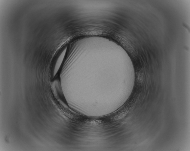 X0000097770304200804041158