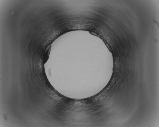 X0000097770305200804041158