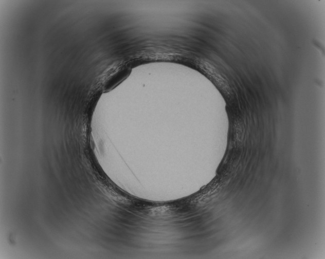 X0000097770309200804041158