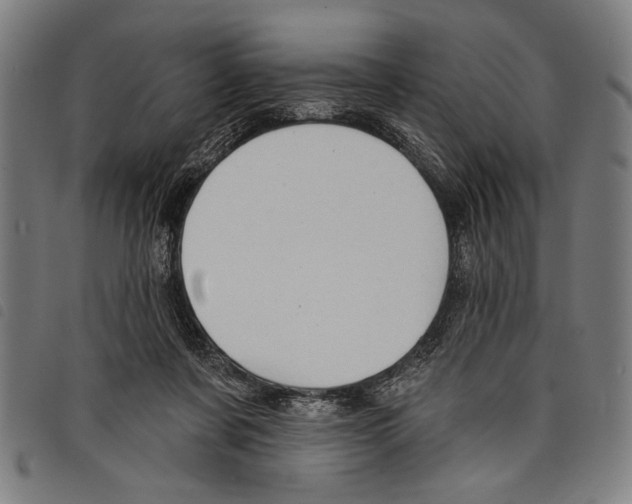 X0000097770311200804041158