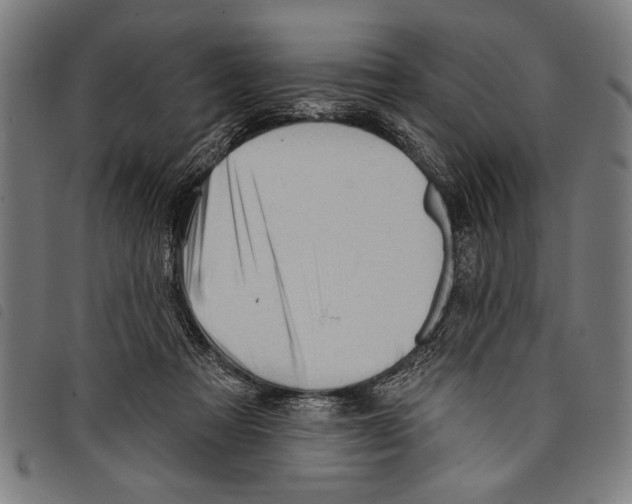 X0000097770313200804041158