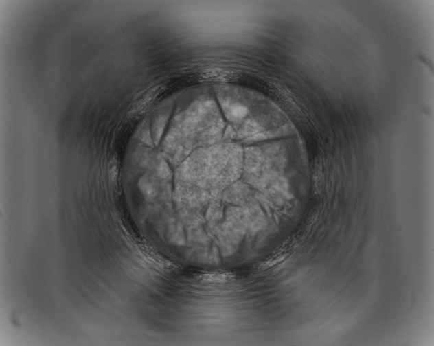 X0000097770314200804041158