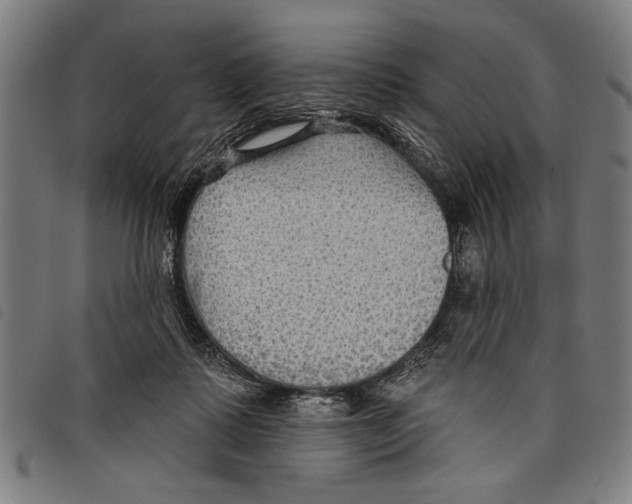 X0000097770315200804041158