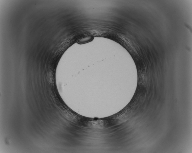 X0000097770317200804041158