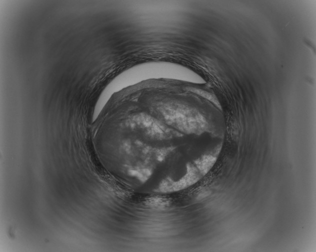 X0000097770319200804041158