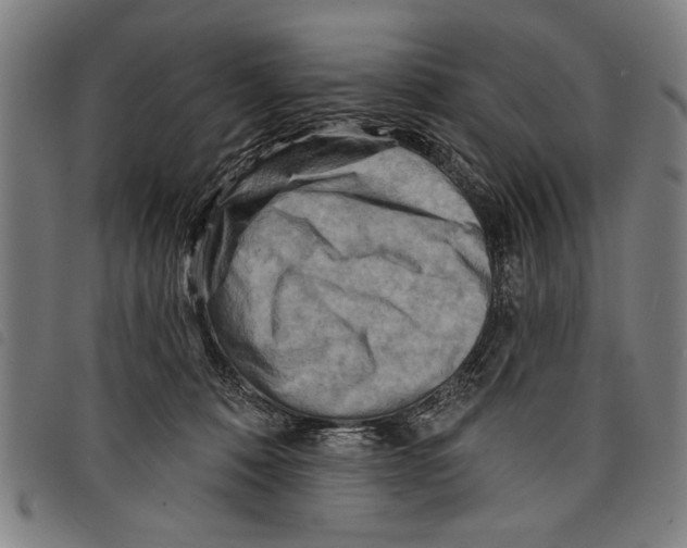 X0000097770320200804041158