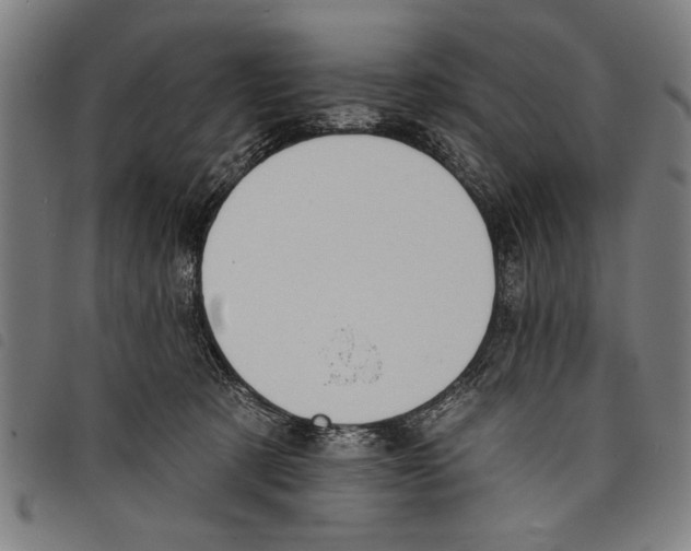 X0000097770321200804041158