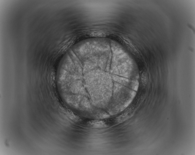 X0000097770322200804041158