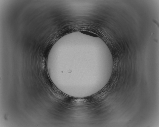 X0000097770323200804041158
