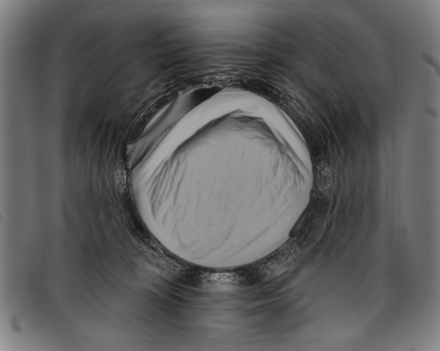 X0000097770324200804041158