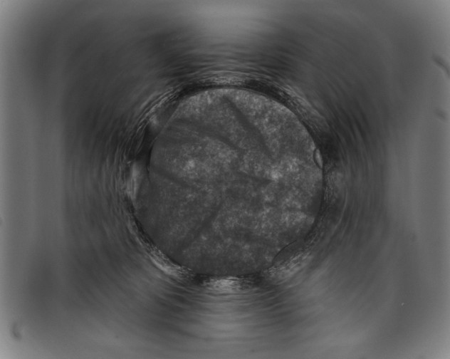 X0000097770325200804041158
