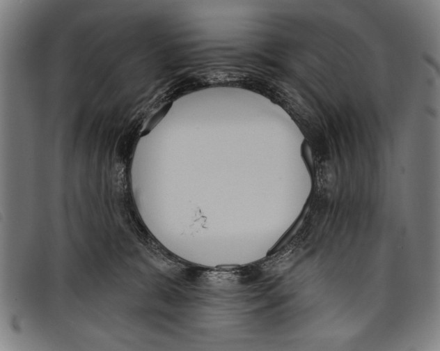 X0000097770327200804041158